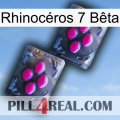 Rhinocéros 7 Bêta 01